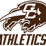 BUFFALO LOGO BUFFALO LOGO