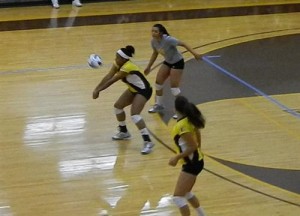 gccc volleyball beats dodge