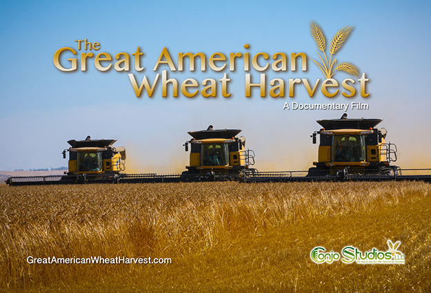 great american wheat harvest