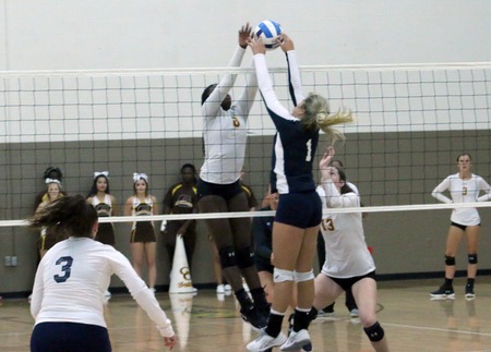 volleyball vs. otero