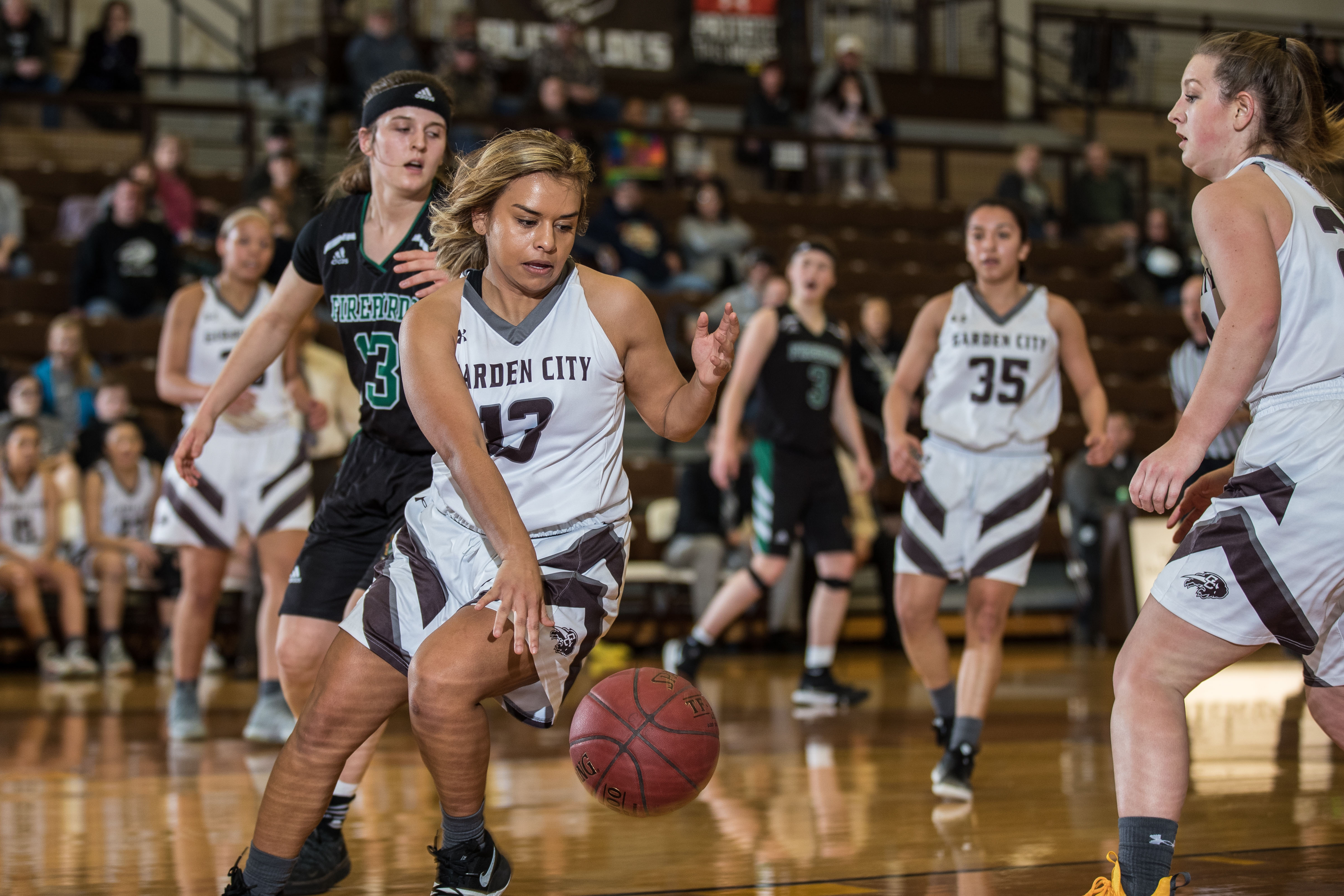 salazar vs. free state med res