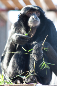 Screen Shot 2019-10-25 at 9.25.45 AM