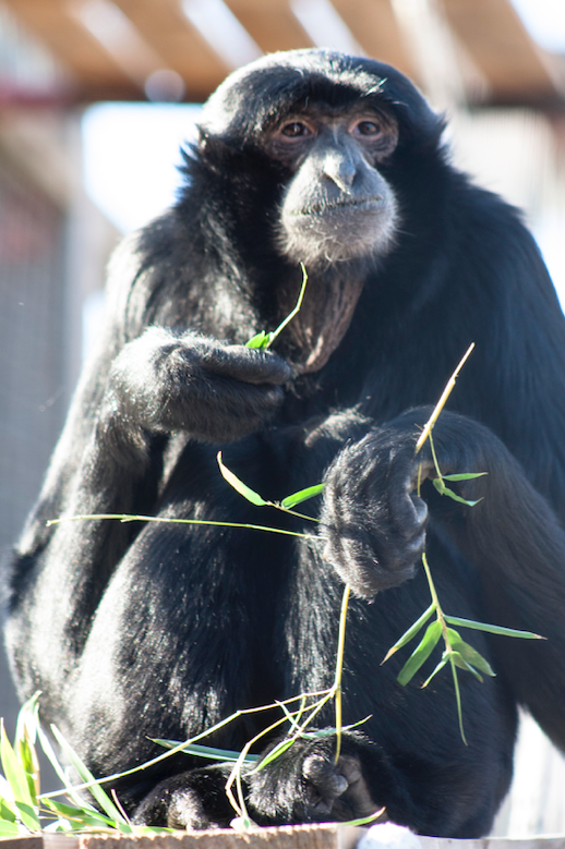 Screen Shot 2019-10-25 at 9.25.45 AM