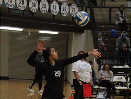 Screen Shot 2019-11-08 at 4.08.08 PM