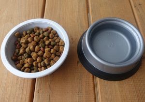 Plastic-dog-bowls-filled-with-food-and-water-side-by-side