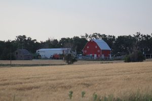 farm scene 31 agview