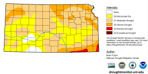 Screenshot 2024-10-18 112721