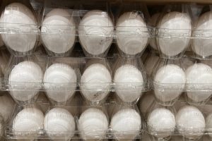 Rising Egg Prices