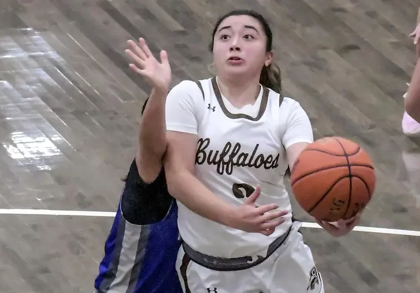 95c1cc76-bcae-4e8d-8bed-5e6e488a8611