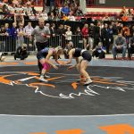 Wellsville girls rally to take 4A Girls state title; seven area girls medal
